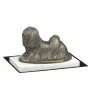 Lhasa Apso, Lhasaterrier, Löwenhund - Hundestatue, Figur auf weißem Marmor, Trophäe für die Art-Dog-Hundeaustellung