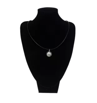 Lhasa Apso - a set of jewelry in a box, necklace, earrings, bracelet, products from the Art-Dog brand