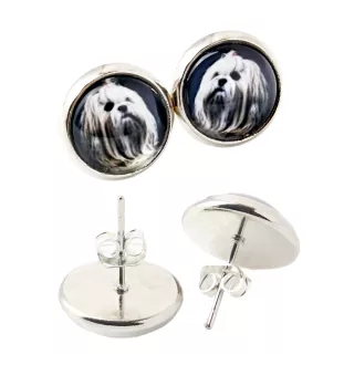 Lhasa Apso - boucles d'oreilles dans une boîte, votre photo, bijoux faits à la main, produit de la marque Art-Dog.