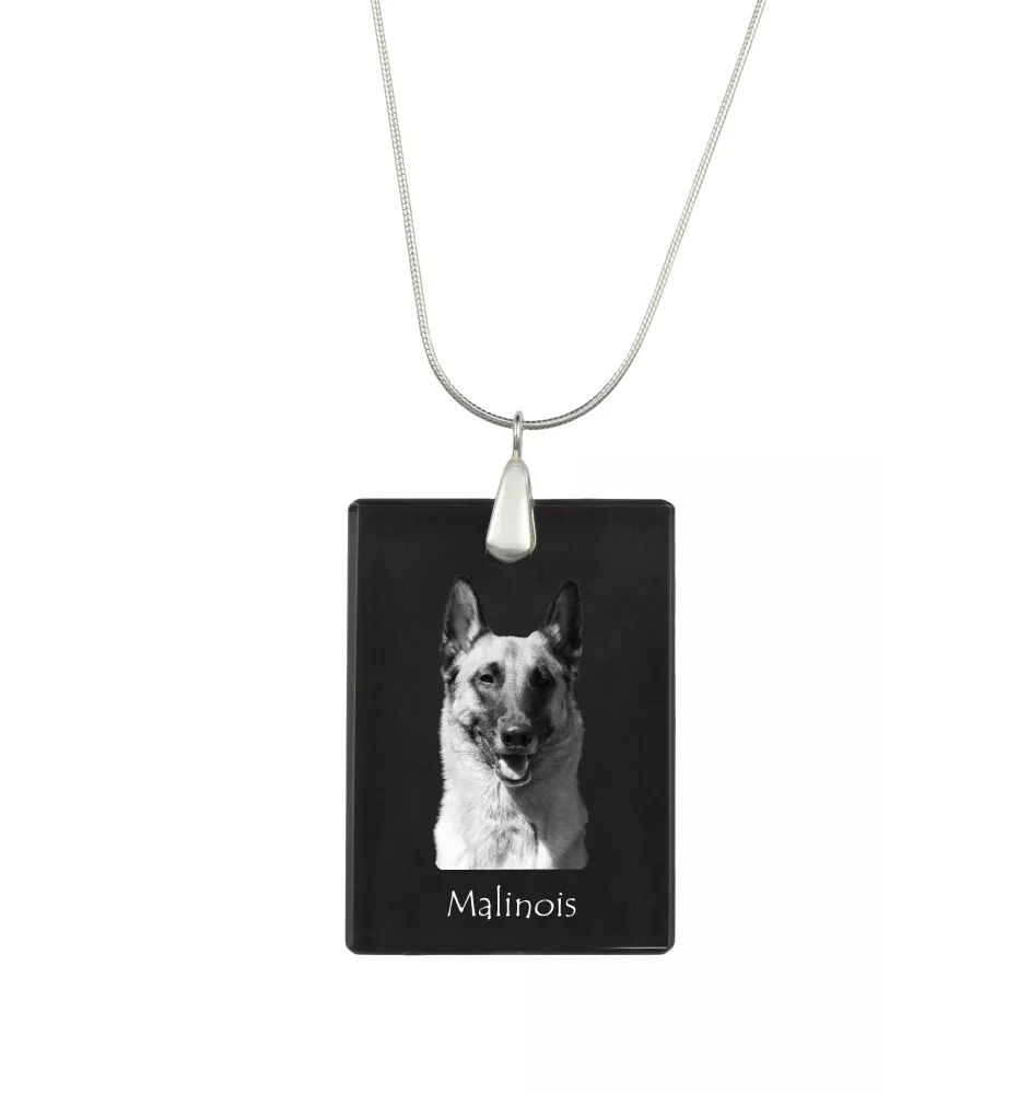 Malinois Belgian Shepherd Dog - Crystal pendant with dog, silver necklace with photo, personalised pendant by Art-Dog brand