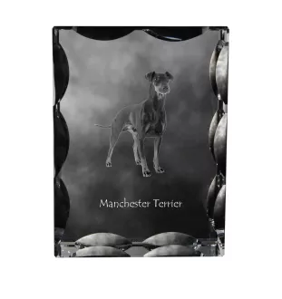 Manchester Terrier - crystal with a picture of a dog, glass statuette with a picture, unique frame with a picture from Art-Dog brand