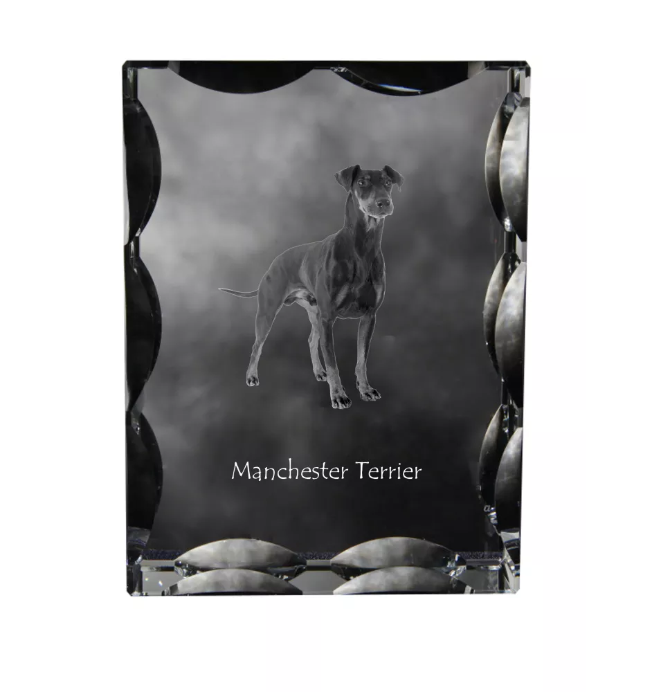 Manchester Terrier - crystal with a picture of a dog, glass statuette with a picture, unique frame with a picture from Art-Dog brand