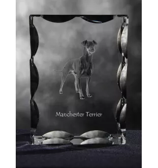 Manchester Terrier - crystal with a picture of a dog, glass statuette with a picture, unique frame with a picture from Art-Dog brand