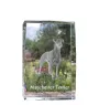 Manchester Terrier - crystal with a picture of a dog, photo in glass, modern exhibition of Art-Dog brand photo