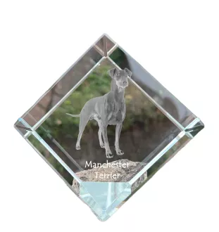 Manchester Terrier - crystal cube with a photo, photo of a horse in crystal, cubic paperweight from Art-Dog brand