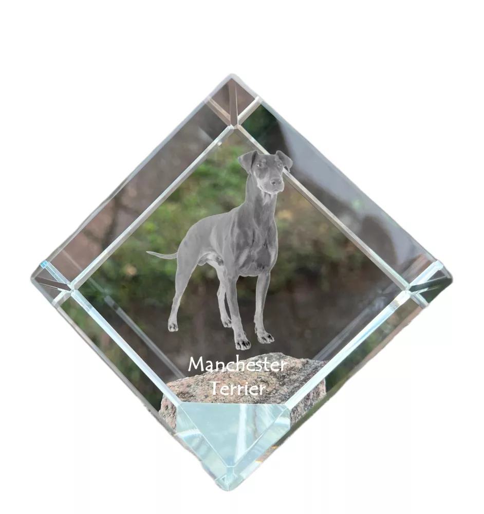 Manchester Terrier - crystal cube with a photo, photo of a horse in crystal, cubic paperweight from Art-Dog brand