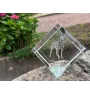 Manchester Terrier - crystal cube with a photo, photo of a horse in crystal, cubic paperweight from Art-Dog brand