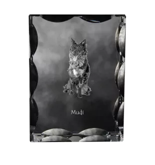 Mudi - crystal with a picture of a dog, glass statuette with a picture, unique frame with a picture from Art-Dog brand