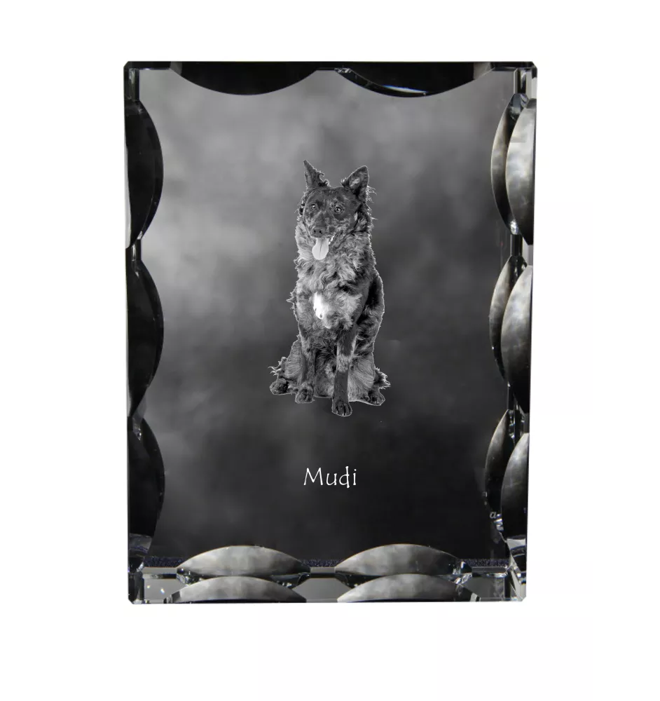Mudi - crystal with a picture of a dog, glass statuette with a picture, unique frame with a picture from Art-Dog brand