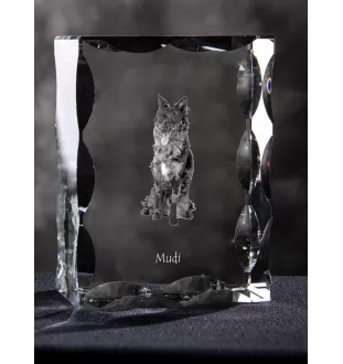 Mudi - crystal with a picture of a dog, glass statuette with a picture, unique frame with a picture from Art-Dog brand