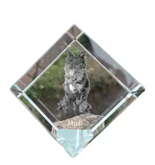 Mudi - Kristallwürfel mit Bild, Pferdebild im Kristall, sechseckiger Papierclip der Marke Art-Dog