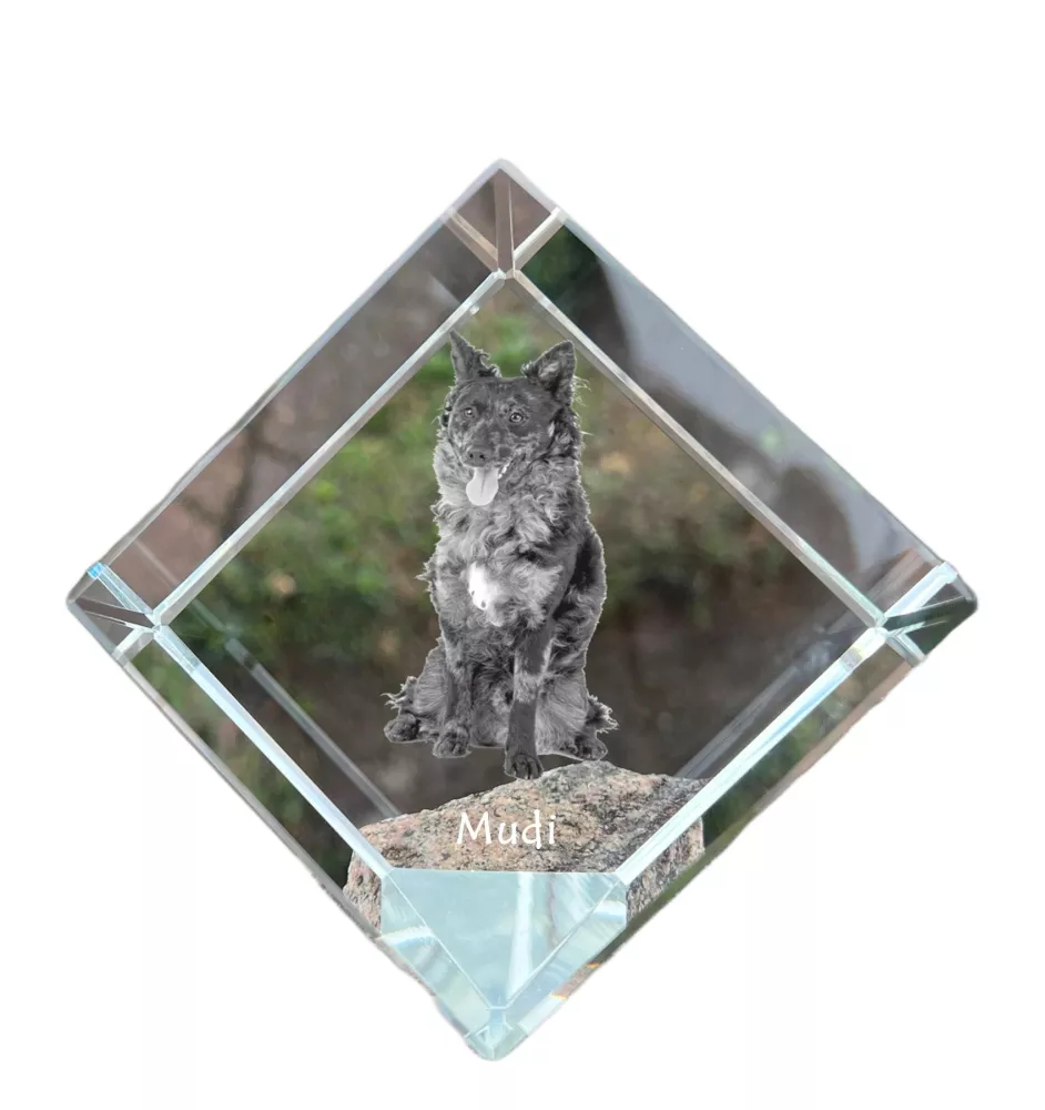 Mudi - un cube de cristal avec une photo, une photo de cheval dans le cristal, un presse-papiers cubique de la marque Art-Dog