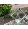 Mudi - crystal cube with a photo, photo of a horse in crystal, cubic paperweight from Art-Dog brand
