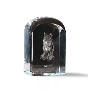 Mudi - crystal cube with a photo, photo of a dog in crystal, cubic paperweight from Art-Dog brand