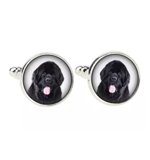 Newfoundland, Newfs, Newfies - cufflinks in a box, handmade jewelry, product of the Art-Dog brand
