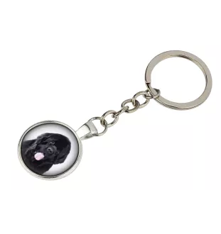 Newfoundland, Newfs, Newfies - keychain in a box, own photo, keychain pendant from Art-Dog brand