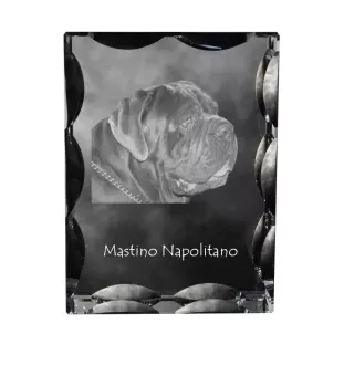 Neapolitan Mastiff, Mastino Napoletano - crystal with a picture of a dog, glass statuette with a picture, unique frame with a picture from Art-Dog brand