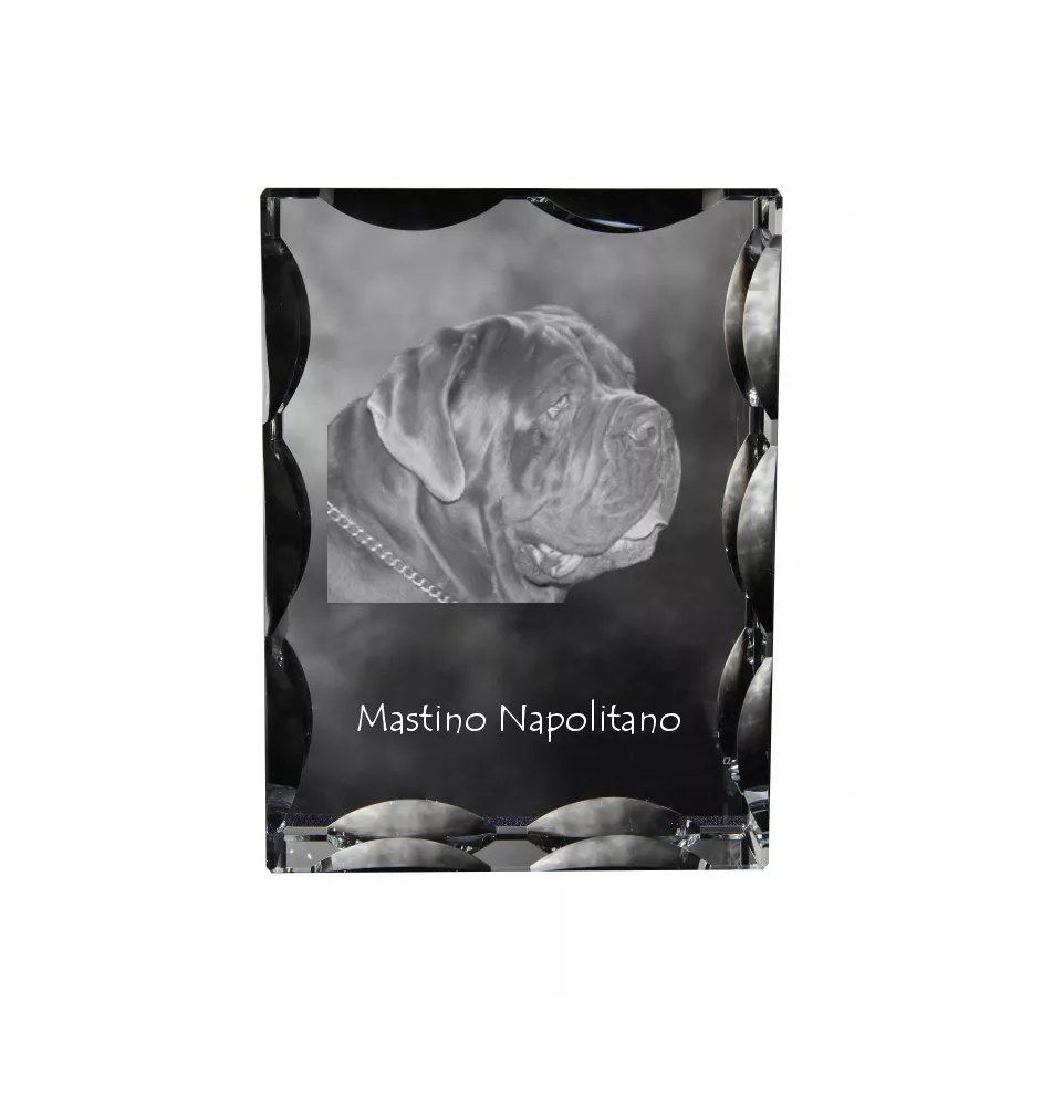 Neapolitan Mastiff, Mastino Napoletano - crystal with a picture of a dog, glass statuette with a picture, unique frame with a picture from Art-Dog brand