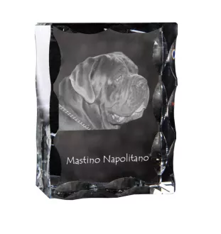 Neapolitan Mastiff, Mastino Napoletano - crystal with a picture of a dog, glass statuette with a picture, unique frame with a picture from Art-Dog brand