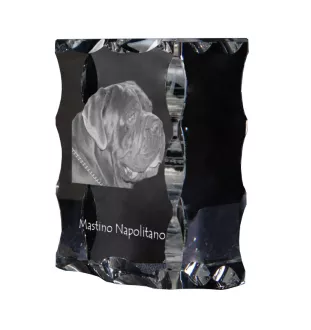 Mâtin napolitain, Mâtin de Naples, Napolitain - cristal avec photo de chien, statuette en verre avec photo, cadre exceptionnel avec photo de la marque Art-Dog