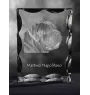 Neapolitan Mastiff, Mastino Napoletano - crystal with a picture of a dog, glass statuette with a picture, unique frame with a picture from Art-Dog brand