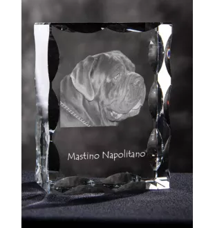 Mâtin napolitain, Mâtin de Naples, Napolitain - cristal avec photo de chien, statuette en verre avec photo, cadre exceptionnel avec photo de la marque Art-Dog