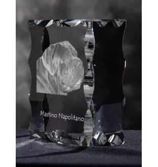 Mastino Napoletano, Neapolitanischer Mastiff - Kristall mit einem Hundebild, Glasstatuette mit einem Bild, einzigartiger Bilderrahmen der Marke Art-Dog