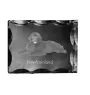 Newfoundland, Newfs, Newfies - crystal with a picture of a dog, glass statuette with a picture, unique frame with a picture from Art-Dog brand