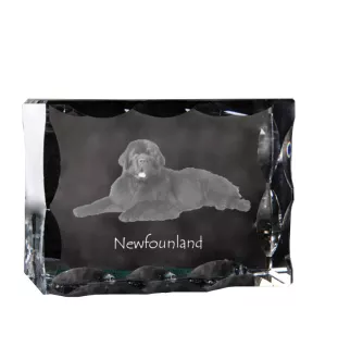 Newfoundland, Newfs, Newfies - crystal with a picture of a dog, glass statuette with a picture, unique frame with a picture from Art-Dog brand