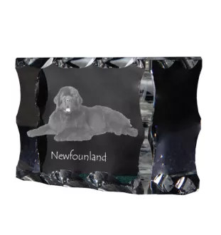 Newfoundland, Newfs, Newfies - crystal with a picture of a dog, glass statuette with a picture, unique frame with a picture from Art-Dog brand