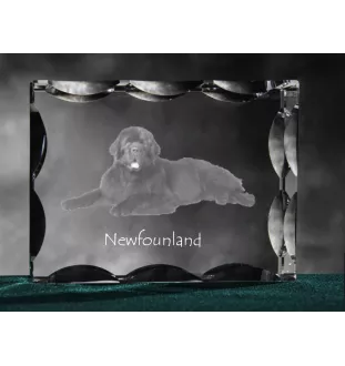 Newfoundland, Newfs, Newfies - crystal with a picture of a dog, glass statuette with a picture, unique frame with a picture from Art-Dog brand