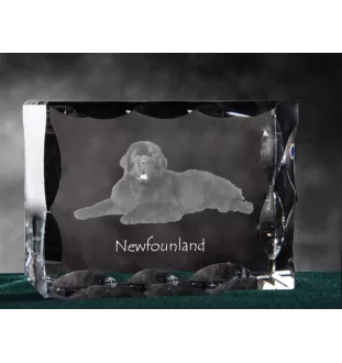 Neufundländer, Newfoundland - Kristall mit einem Hundebild, Glasstatuette mit einem Bild, einzigartiger Bilderrahmen der Marke Art-Dog