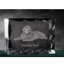 Newfoundland, Newfs, Newfies - crystal with a picture of a dog, glass statuette with a picture, unique frame with a picture from Art-Dog brand