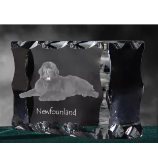 Newfoundland, Newfs, Newfies - crystal with a picture of a dog, glass statuette with a picture, unique frame with a picture from Art-Dog brand