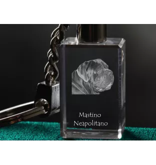 Neapolitan Mastiff, Mastino Napoletano - Crystal key ring with dog photo, illuminated key ring, unique gift by Art-Dog brand