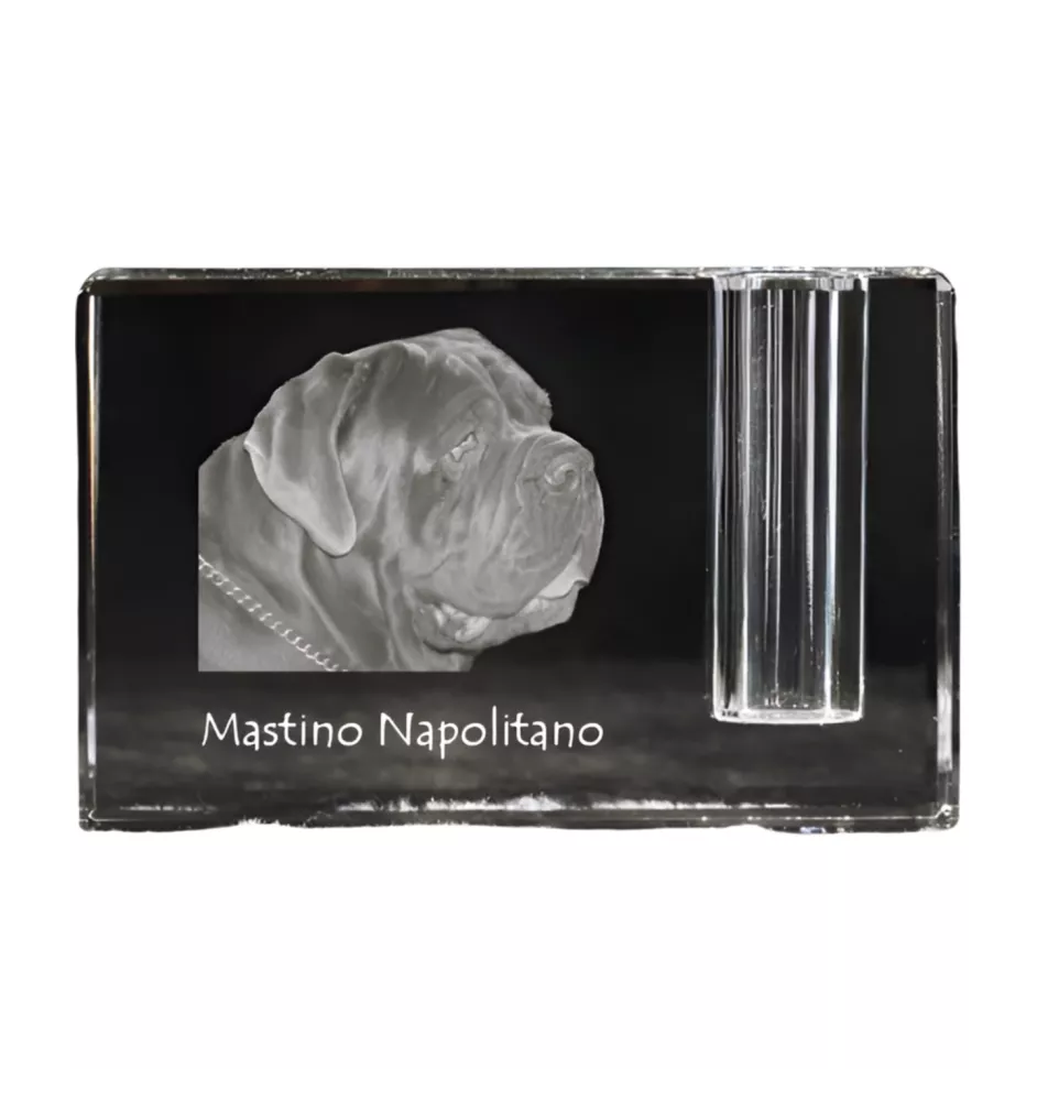 Neapolitan Mastiff, Mastino Napoletano - Pen stand, crystal organiser with dog photo, unique desk decoration by Art-Dog brand