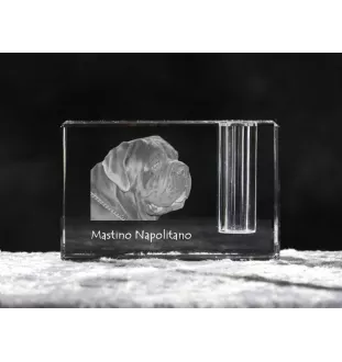 Neapolitan Mastiff, Mastino Napoletano - Pen stand, crystal organiser with dog photo, unique desk decoration by Art-Dog brand