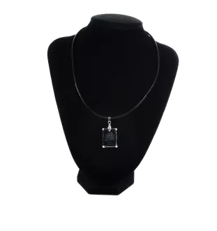 Neapolitan Mastiff, Mastino Napoletano - Crystal dog pendant, photo necklace, unique jewellery by Art-Dog