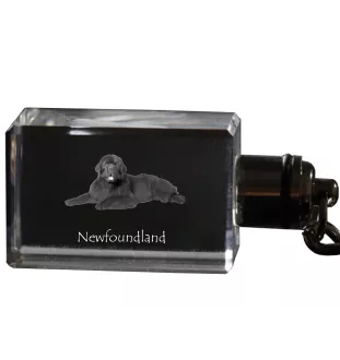 Neufundländer, Newfoundland - Schlüsselanhänger aus Kristall mit Hundefoto, beleuchteter Schlüsselanhänger, einzigartiges Geschenk der Marke Art-Dog