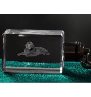 Neufundländer, Newfoundland - Schlüsselanhänger aus Kristall mit Hundefoto, beleuchteter Schlüsselanhänger, einzigartiges Geschenk der Marke Art-Dog