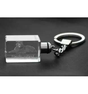 Neufundländer, Newfoundland - Schlüsselanhänger aus Kristall mit Hundefoto, beleuchteter Schlüsselanhänger, einzigartiges Geschenk der Marke Art-Dog