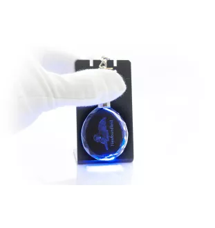 Chien de Terre-neuve, retriever de Terre-Neuve - pendentif avec une photo de chien, porte-clés en cristal dans une boîte cadeau, un cadeau unique par Art-Dog
