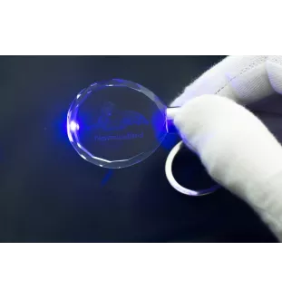 Neufundländer, Newfoundland - Anhänger mit einem Foto eines Hundes, Schlüsselanhänger aus Kristall in einer Geschenkbox, ein einzigartiges Geschenk von Art-Dog