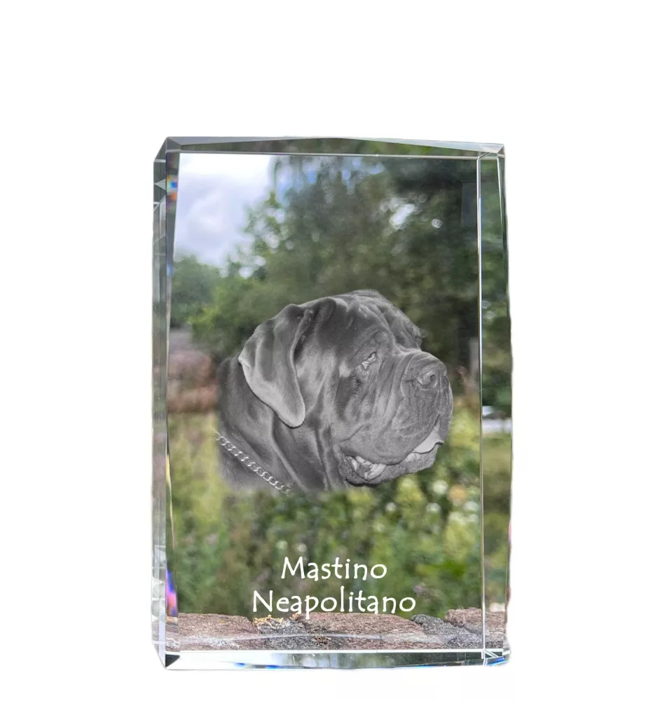 Mastino Napoletano, Neapolitanischer Mastiff - Kristall mit einem Hundebild, Bild im Glas, moderne Ausstellung des Art-Dog-Bildes.