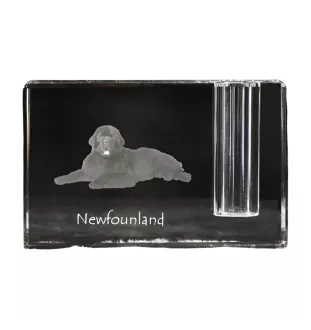 Neufundländer, Newfoundland - Stifthalter, Kristallorganizer mit Hundefoto, einzigartige Schreibtischdekoration der Marke Art-Dog