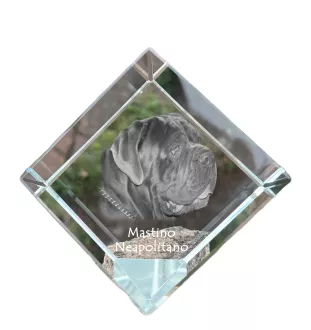 Mastino Napoletano, Neapolitanischer Mastiff - Kristallwürfel mit Bild, Pferdebild im Kristall, sechseckiger Papierclip der Marke Art-Dog