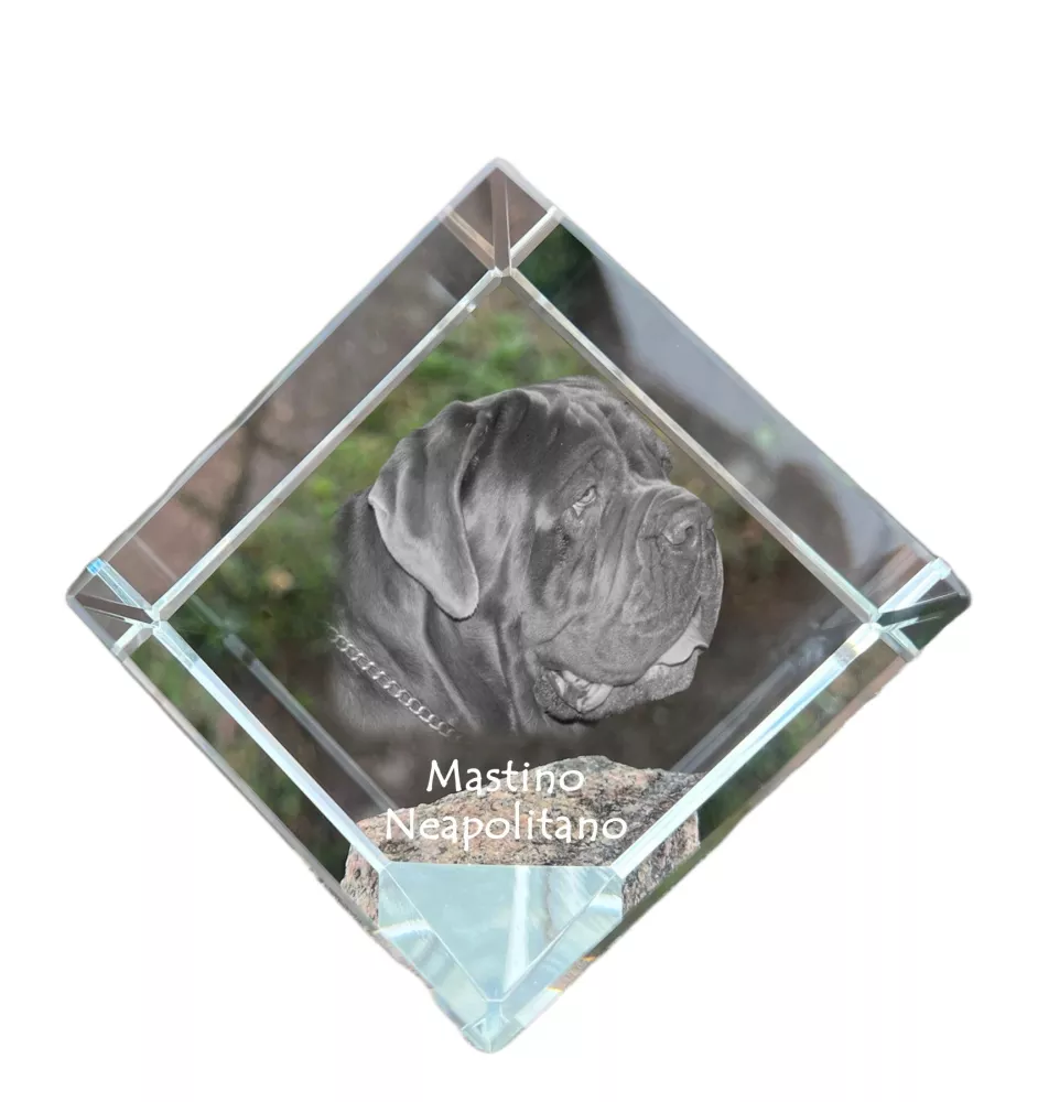 Mastif neapolitański kostka kryształowa z psem Art-Dog