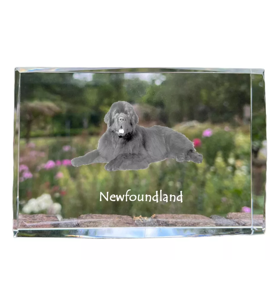 Nowofundland kryształ z psem Art-Dog
