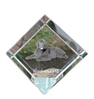 Neufundländer, Newfoundland - Kristallwürfel mit Bild, Pferdebild im Kristall, sechseckiger Papierclip der Marke Art-Dog