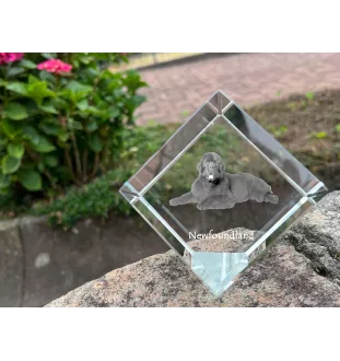 Newfoundland, Newfs, Newfies - crystal cube with a photo, photo of a horse in crystal, cubic paperweight from Art-Dog brand